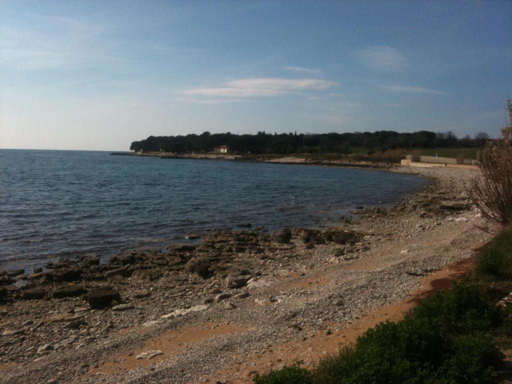 Apartments Mari Novigrad Istria المظهر الخارجي الصورة